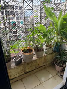 Balcony Image of 915 Sq.ft 2 BHK Apartment / Flat for sale in Badlapur West Badlapur for Rs. 4200000