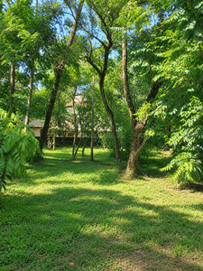 Image of 5227 Sq.ft Residential Plot / Land for sale in Chembukkav, Thrissur for Rs. 2500000