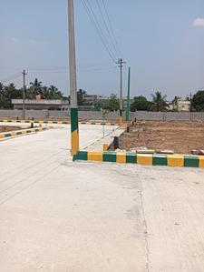 Thyme Park Plot View 2