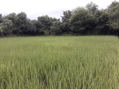 Image of 60000 Sq.ft Residential Plot / Land for sale in Sevasi, Vadodara for Rs. 60000000