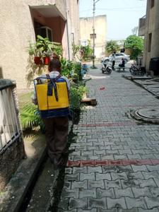 Image of 260 Sq.ft 1 BHK Apartment / Flat for sale in Siraspur, New Delhi for Rs. 1900000
