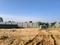 R.K. Hegde Nagar Plot View 2