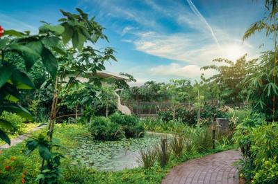 Image of 1600 Sq.ft 2 BHK Farm House for sale in Shiyapura, Ahmedabad for Rs. 45000000