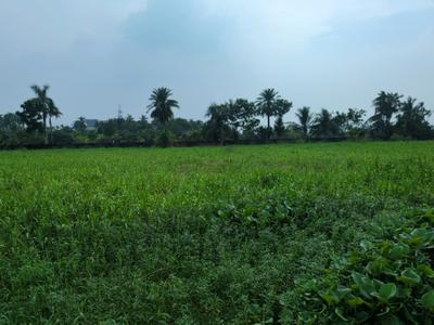 Image of 720 Sq.ft Residential Plot / Land for sale in Wander Valley, Joka, Kolkata for Rs. 274141