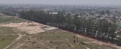 Image of 1272 Sq.ft Residential Plot / Land for sale in Velora Midtown, Sector 60, Mohali for Rs. 7773000