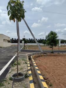 Image of 1350 Sq.ft Residential Plot / Land for sale in Tricube Velavan Vantara, Annur, Coimbatore for Rs. 2401650