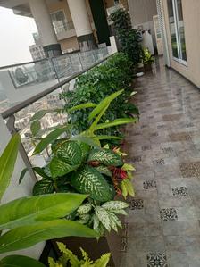Balcony Image of 4400 Sq.ft 4 BHK Duplex for sale in Indiabulls Sky Forest A2, Parel Mumbai for Rs. 147500000