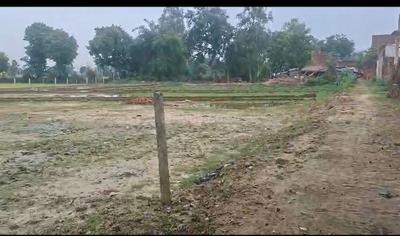 Image of 800 Sq.ft Residential Plot / Land for sale in Phaphamau, Allahabad for Rs. 450000