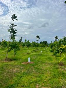 Mangampet Plot View 2