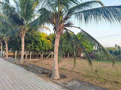 Image of 6635 Sq.ft Residential Plot / Land for sale in Anaicut, Chennai for Rs. 5500000