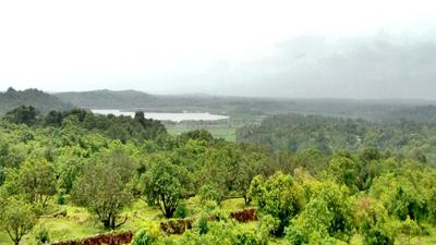 Image of 615 Sq.ft 1 BHK Apartment / Flat for sale in Devgad, Sindhudurg for Rs. 1800000