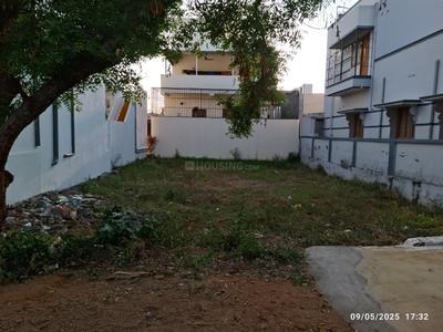 Thindal Plot View 2