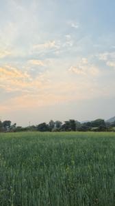 Balcony Image of 5000 Sq.ft 1 RK Farm House for sale in Homeland IIT Town Simrol, Simrol Indore for Rs. 1500000