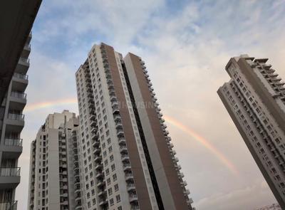 Image of 2450 Sq.ft 4 BHK Apartment / Flat for sale in Hero Homes Tower 8, Sector 104, Gurgaon for Rs. 32350000