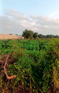 Image of 30351 Sq.ft Residential Plot / Land for sale in Ugaon, Nashik for Rs. 45000000