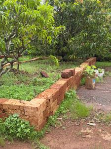 Image of 24976 Sq.ft Residential Plot / Land for sale in Niwali, Ratnagiri for Rs. 9000000
