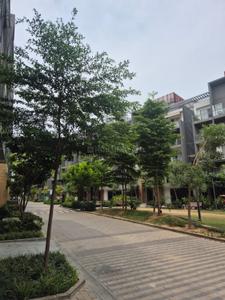 Image of 131 Sq.ft Residential Plot / Land for sale in Paras Floret, Sector 59, Gurgaon for Rs. 52500000