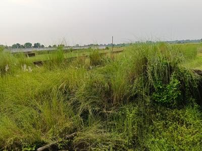 Image of 12208 Sq.ft Residential Plot / Land for sale in Khamarbendi, Bokaro for Rs. 9800000