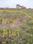 Shivala Par Plot View 2