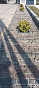 Image of 800 Sq.ft Residential Plot / Land for sale in Rajshree Shri Sharad Madhav Vihar 3 And Extension, Nainod, Indore for Rs. 3400000