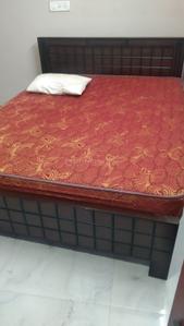 Bedroom Image of 935 Sq.ft 2 BHK Builder Floor for rent in Nungambakkam Chennai for Rs. 33000