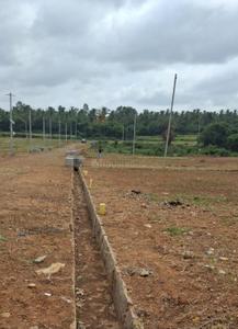 Image of 600 Sq.ft Residential Plot / Land for sale in Nelamangala, Bengaluru for Rs. 899000
