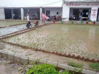 Image of 900 Sq.ft Residential Plot / Land for sale in KRS Shri RadhaRani Township Phase 1, Barsana, Mathura for Rs. 1785000