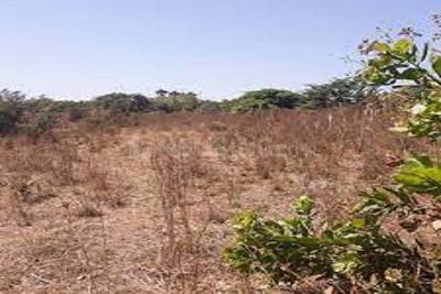 Image of 1440 Sq.ft Residential Plot / Land for sale in ASM Shree Jaswant Garden, Sector 14, Panchkula for Rs. 11577000
