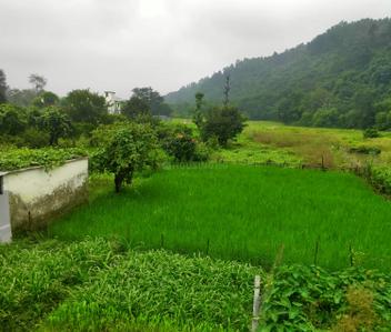 Image of 750 Sq.ft 1 BHK Independent House for sale in Maldevta, Dehradun for Rs. 5000000