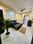 Hall Image of Starex PG in Sector 38, Gurgaon