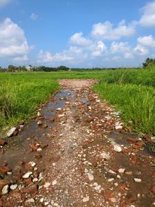 Image of 720 Sq.ft Residential Plot / Land for sale in Nest Valley, Joka, Kolkata for Rs. 182222