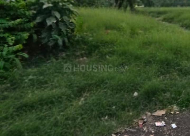 Behala Sakher Bazar Main Image 1