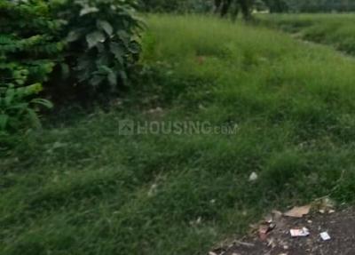 Behala Sakher Bazar Plot View 1