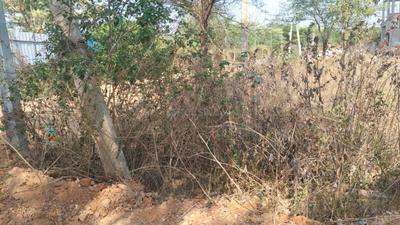 Image of 880 Sq.ft Residential Plot / Land for sale in Jakkur, Bengaluru for Rs. 12500000