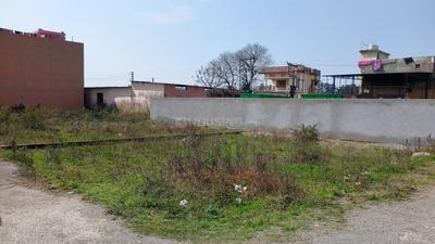 Selakui Plot View 2