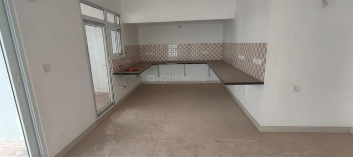 Krishna Shelton Main Image 1