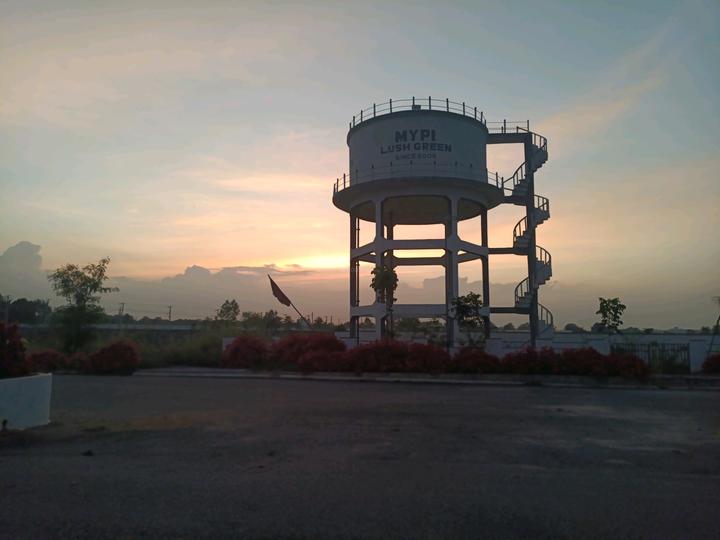 Mypi Lush Green Main Image 1