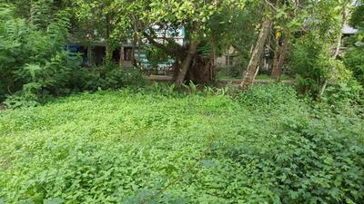 Image of 30450 Sq.ft Residential Plot / Land for sale in Guruvayur, Thrissur for Rs. 20300000