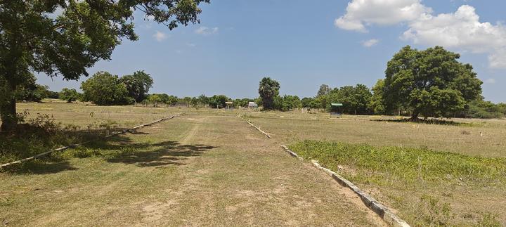 Pavendar Salai, Maraimalai Nagar Main Image 1