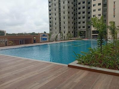 3 BHK Flat