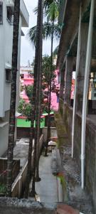 Image of 3000 Sq.ft 2 BHK Independent House for sale in Matigara, Siliguri for Rs. 22000000