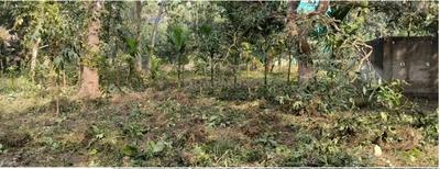 Image of 8069 Sq.ft Residential Plot / Land for sale in Basirhat, North 24 Parganas District for Rs. 9900000