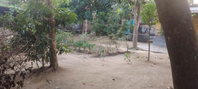 Image of 4286 Sq.ft Residential Plot / Land for sale in Tarkeshwar, Hooghly for Rs. 1500000