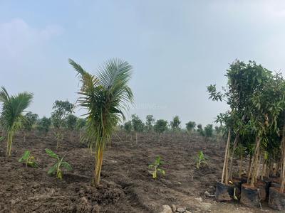 Image of 1500 Sq.ft Residential Plot / Land for sale in Madurantakam, Chennai for Rs. 1500000