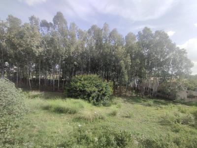 Image of 1170 Sq.ft 2 BHK Apartment / Flat for sale in Brigade Yelahanka by Brigade Enterprises Ltd, Yelahanka, Bengaluru for Rs. 8000000