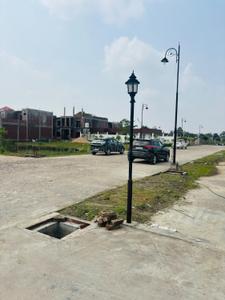 Plot View