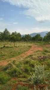 Image of 9148 Sq.ft Residential Plot / Land for sale in Pannimadai, Coimbatore for Rs. 9200000