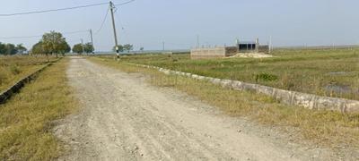 Image of 1350 Sq.ft Residential Plot / Land for sale in Mabbi Belauna, Darbhanga for Rs. 1200000