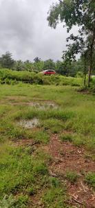 Image of 13000 Sq.ft Residential Plot / Land for sale in Kudal, Sindhudurg for Rs. 2700000