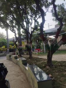 Image of 1530 Sq.ft 3 BHK Apartment / Flat for sale in Wazirganj, Lucknow for Rs. 11500000